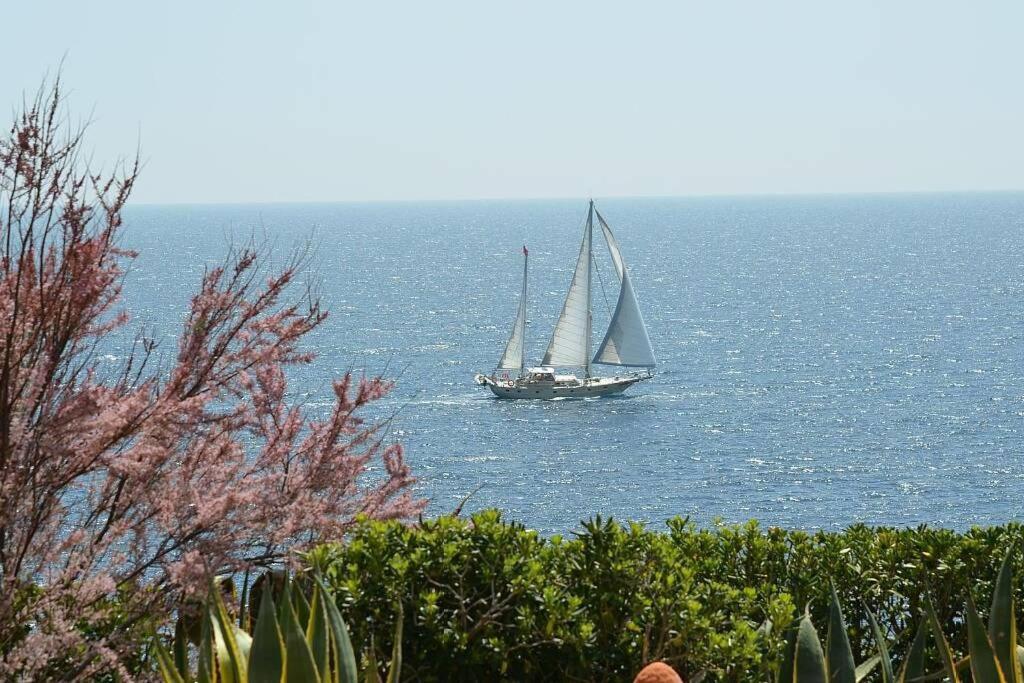 Villa Vallgornera Palma de Mallorca Bagian luar foto