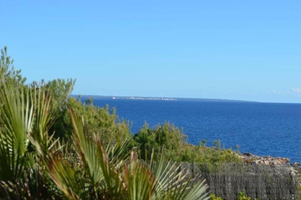 Villa Vallgornera Palma de Mallorca Bagian luar foto